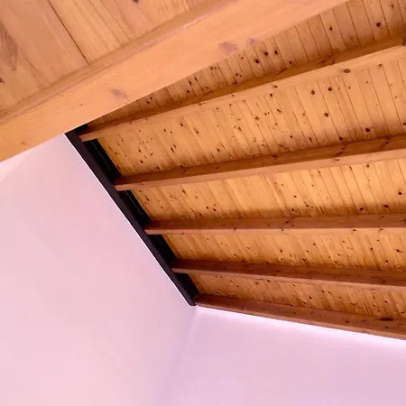 Loft Elegante Con Techos Altos En Plaza Del Carmen Lägenhet